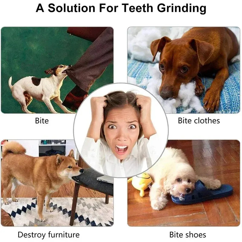 🐶😺Jouet à mâcher pour chien et chat, indestructible, distributeur de croquettes et friandises (petit format)