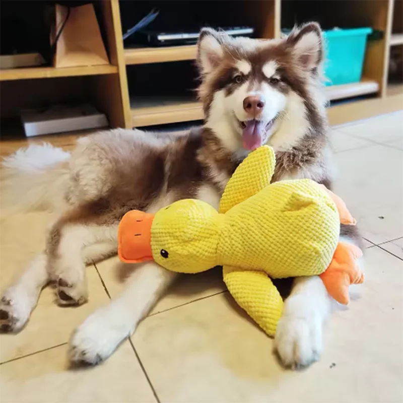 Jouet en peluche pour chien, résistant aux morsures de canard, nettoyage des dents, grand chien, divertissement interactif, chiot, ennui, jouet en peluche pour animaux de compagnie