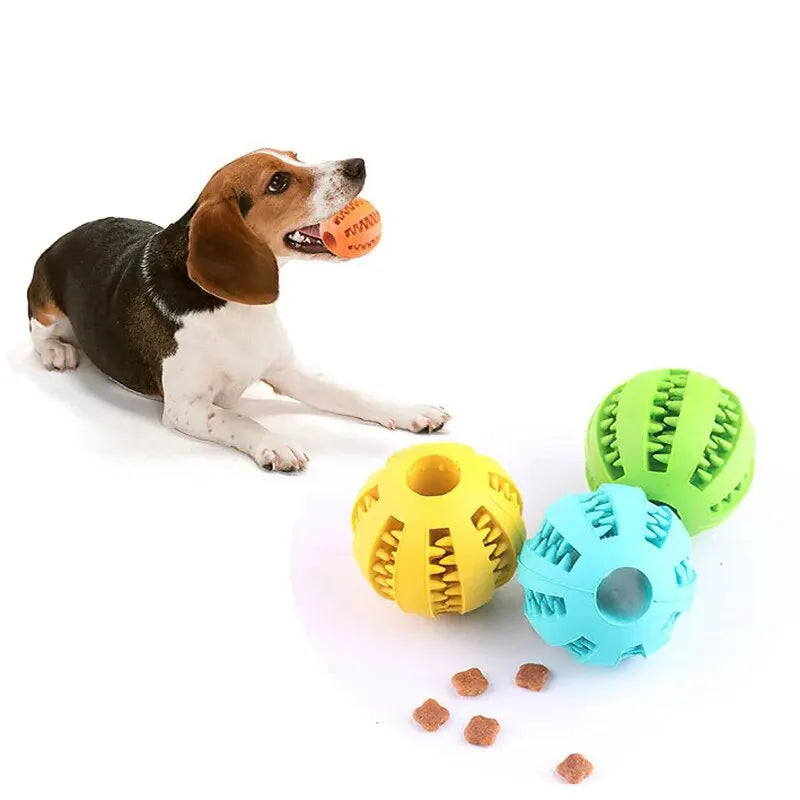 🐶😺Jouet à mâcher pour chien et chat, indestructible, distributeur de croquettes et friandises (petit format)