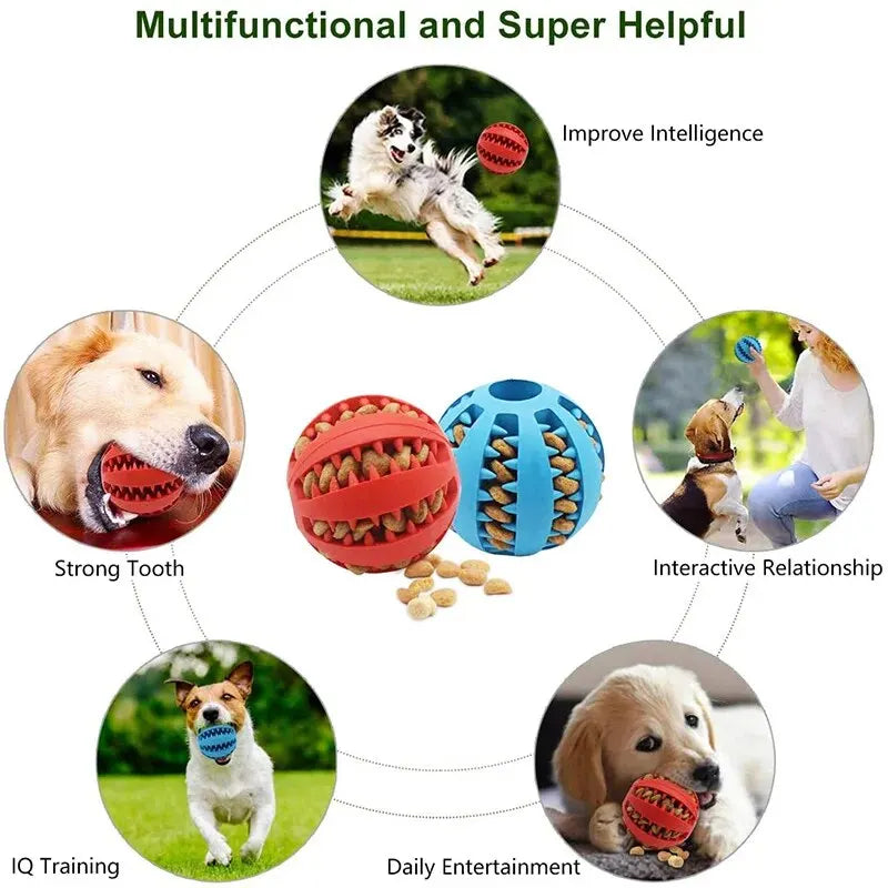 🐶😺Jouet à mâcher pour chien et chat, indestructible, distributeur de croquettes et friandises (petit format)